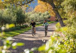 Two people riding bicycles.